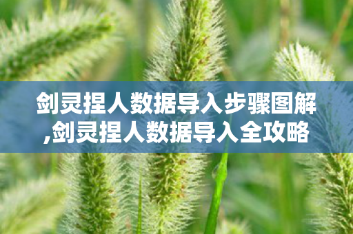 剑灵捏人数据导入步骤图解,剑灵捏人数据导入全攻略，快速打造心仪专属江湖容颜