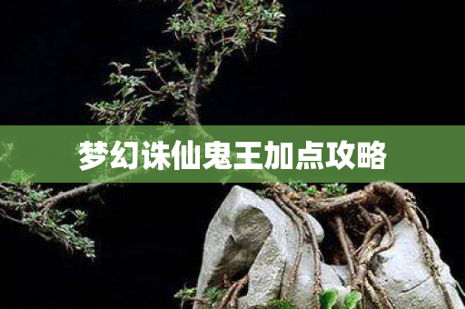 梦幻诛仙鬼王加点攻略图片