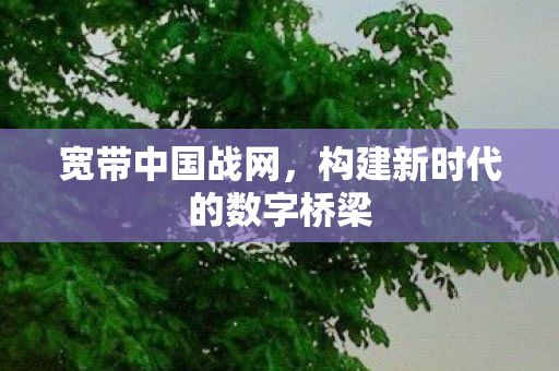 构建新时代的数字桥梁图片