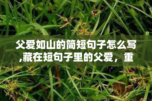 父爱如山的简短句子怎么写,藏在短句子里的父爱，重逾千钧