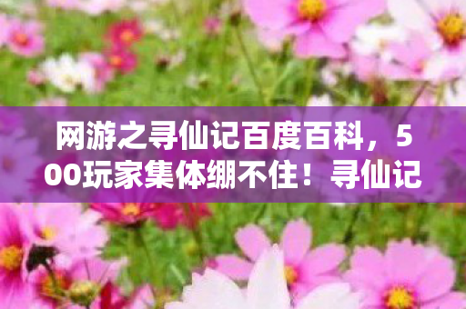 网游之寻仙记百度百科，500玩家集体绷不住！寻仙记新副本竟藏时空裂隙？退坑大神，这波我熟