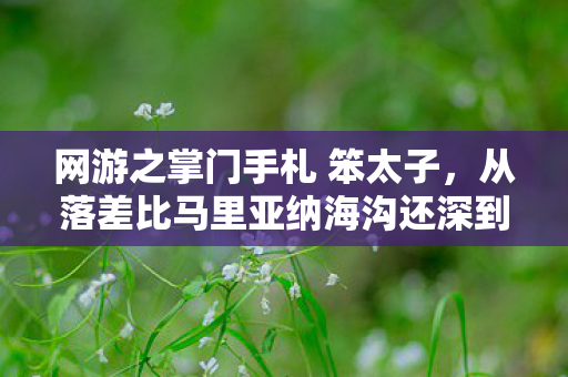 网游之掌门手札 笨太子,从落差比马里亚纳海沟还深到笑着哭,真相是,我们都成了自己的小丑 网游之掌门手札 笨太子,从落差比马里亚纳海沟还深到笑着哭,真相是,我们都成了自己的小丑