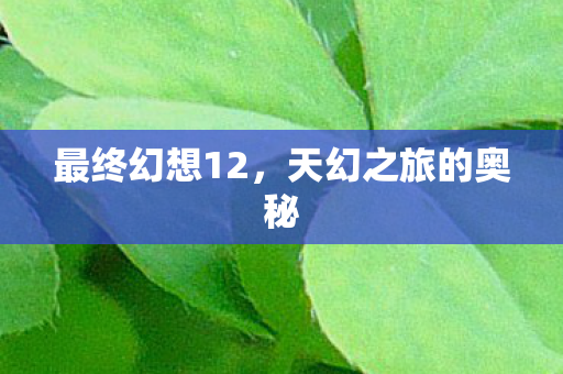 天幻之旅的奥秘图片