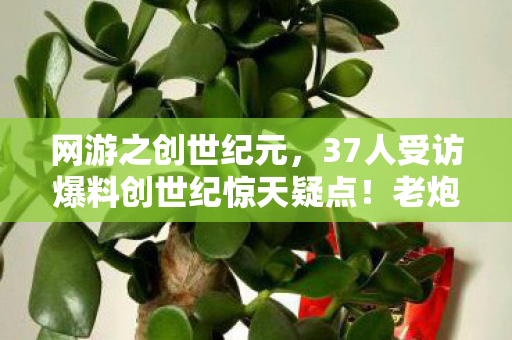 网游之创世纪元，37人受访爆料创世纪惊天疑点！老炮，这破事我网吧通宵十五年都没绷住