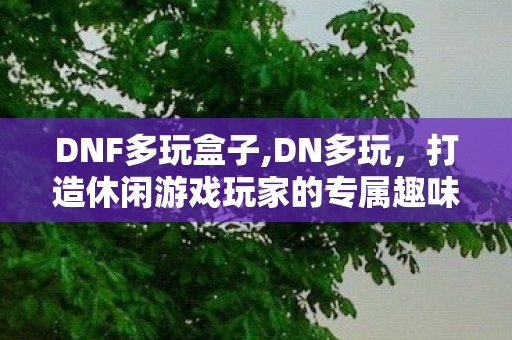 DNF多玩盒子,DN多玩,打造休闲游戏玩家的专属趣味交流阵地 DNF多玩盒子,DN多玩,打造休闲游戏玩家的专属趣味交流阵地