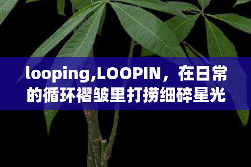 looping,LOOPIN，在日常的循环褶皱里打捞细碎星光