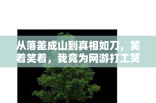 从落差成山到真相如刀，笑着笑着，我竟为网游打工哭了