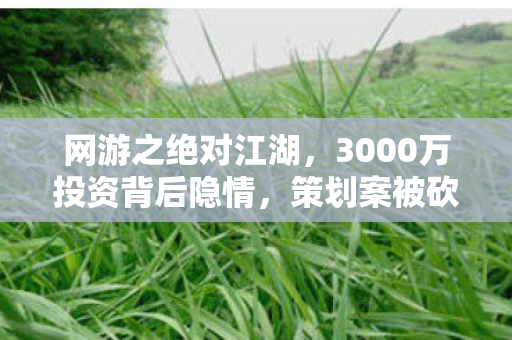 网游之绝对江湖,3000万投资背后隐情,策划案被砍真相吓一跳! 网游之绝对江湖,3000万投资背后隐情,策划案被砍真相吓一跳!