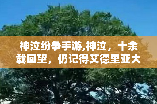 神泣纷争手游,神泣，十余载回望，仍记得艾德里亚大陆的风