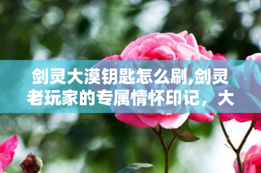剑灵大漠钥匙怎么刷,剑灵老玩家的专属情怀印记,大漠钥匙里的黄沙冒险往事 剑灵大漠钥匙怎么刷,剑灵老玩家的专属情怀印记,大漠钥匙里的黄沙冒险往事