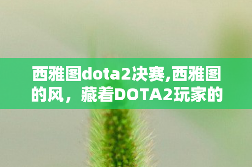 西雅图dota2决赛,西雅图的风，藏着DOTA2玩家的专属青春注脚