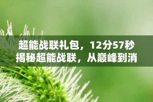 超能战联礼包,12分57秒揭秘超能战联,从巅峰到消逝的谜团,为何泪目? 超能战联礼包,12分57秒揭秘超能战联,从巅峰到消逝的谜团,为何泪目?