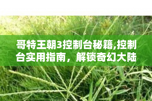 哥特王朝3控制台秘籍,控制台实用指南,解锁奇幻大陆探索新乐趣 哥特王朝3控制台秘籍,控制台实用指南,解锁奇幻大陆探索新乐趣