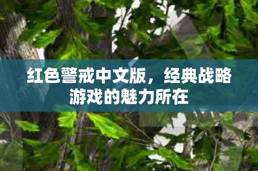 经典战略游戏的魅力所在图片
