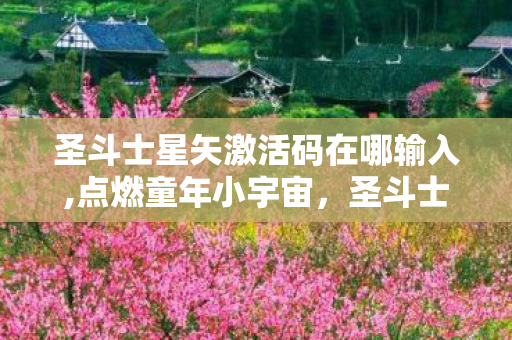圣斗士星矢激活码在哪输入,点燃童年小宇宙,圣斗士星矢正版激活码获取与情怀体验指南 圣斗士星矢激活码在哪输入,点燃童年小宇宙,圣斗士星矢正版激活码获取与情怀体验指南