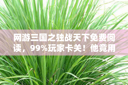 网游三国之独战天下免费阅读,99%玩家卡关!他竟用1招破局,三国战场杀疯了! 网游三国之独战天下免费阅读,99%玩家卡关!他竟用1招破局,三国战场杀疯了!