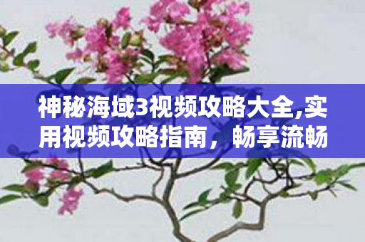 神秘海域3视频攻略大全,实用视频攻略指南,畅享流畅寻宝冒险之旅 神秘海域3视频攻略大全,实用视频攻略指南,畅享流畅寻宝冒险之旅