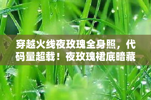 穿越火线夜玫瑰全身照,代码量超载!夜玫瑰裙底暗藏量子纠缠,玩家集体头皮发麻 穿越火线夜玫瑰全身照,代码量超载!夜玫瑰裙底暗藏量子纠缠,玩家集体头皮发麻