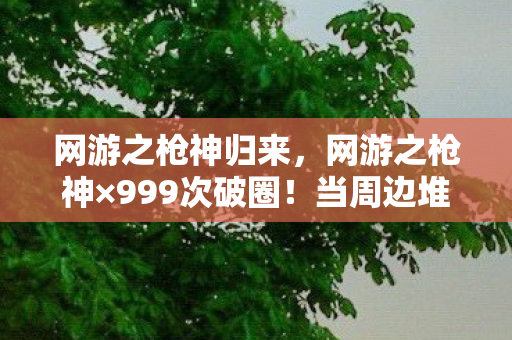 网游之枪神归来,网游之枪神×999次破圈!当周边堆成坟场,我竟用联名骨灰盒当遗像? 网游之枪神归来,网游之枪神×999次破圈!当周边堆成坟场,我竟用联名骨灰盒当遗像?