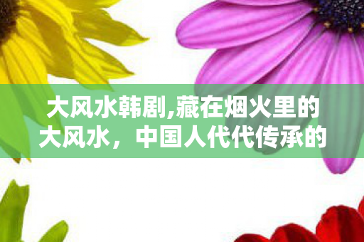 大风水韩剧,藏在烟火里的大风水,中国人代代传承的人居生活智慧 大风水韩剧,藏在烟火里的大风水,中国人代代传承的人居生活智慧