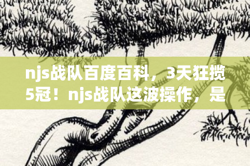 njs战队百度百科,3天狂揽5冠!njs战队这波操作,是要颠覆电竞圈吗? njs战队百度百科,3天狂揽5冠!njs战队这波操作,是要颠覆电竞圈吗?