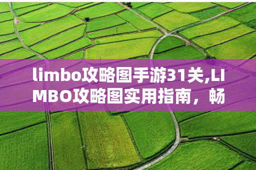 limbo攻略图手游31关,LIMBO攻略图实用指南,畅享暗黑解谜冒险的完整体验 limbo攻略图手游31关,LIMBO攻略图实用指南,畅享暗黑解谜冒险的完整体验
