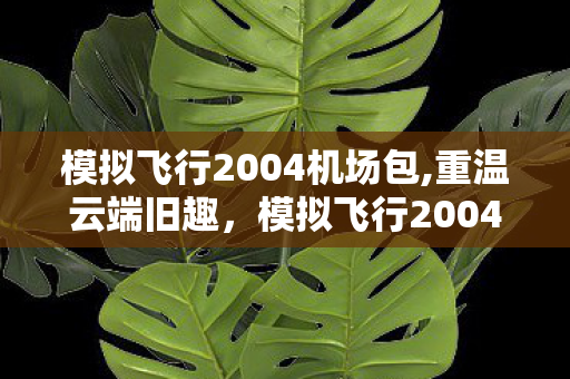 模拟飞行2004机场包,重温云端旧趣,模拟飞行2004中文版的专属飞行情怀 模拟飞行2004机场包,重温云端旧趣,模拟飞行2004中文版的专属飞行情怀