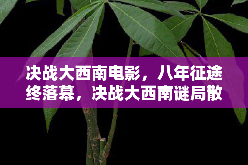 决战大西南电影,八年征途终落幕,决战大西南谜局散场泪目无声 决战大西南电影,八年征途终落幕,决战大西南谜局散场泪目无声