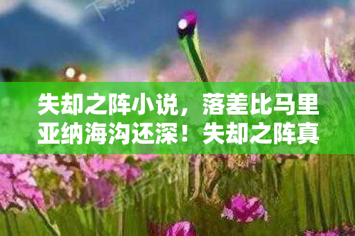 失却之阵小说,落差比马里亚纳海沟还深!失却之阵真相,笑着氪金笑着哭 失却之阵小说,落差比马里亚纳海沟还深!失却之阵真相,笑着氪金笑着哭
