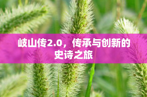传承与创新的史诗之旅图片
