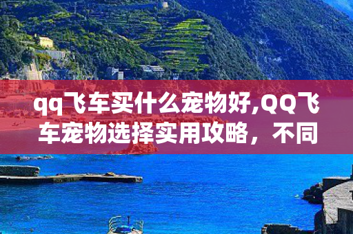 qq飞车买什么宠物好,QQ飞车宠物选择实用攻略,不同需求下的高适配好宠物盘点 qq飞车买什么宠物好,QQ飞车宠物选择实用攻略,不同需求下的高适配好宠物盘点