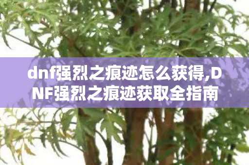 dnf强烈之痕迹怎么获得,DNF强烈之痕迹获取全指南,多快好省攒材料的实用技巧 dnf强烈之痕迹怎么获得,DNF强烈之痕迹获取全指南,多快好省攒材料的实用技巧
