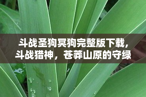 斗战圣狗冥狗完整版下载,斗战猎神,苍莽山原的守绿传奇 斗战圣狗冥狗完整版下载,斗战猎神,苍莽山原的守绿传奇
