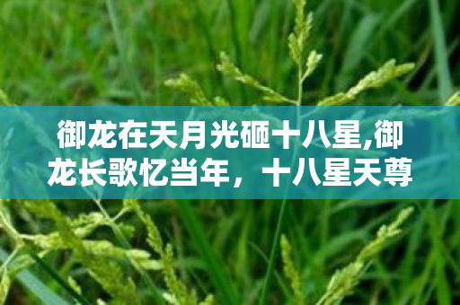 御龙在天月光砸十八星,御龙长歌忆当年,十八星天尊镌刻的热血江湖 御龙在天月光砸十八星,御龙长歌忆当年,十八星天尊镌刻的热血江湖