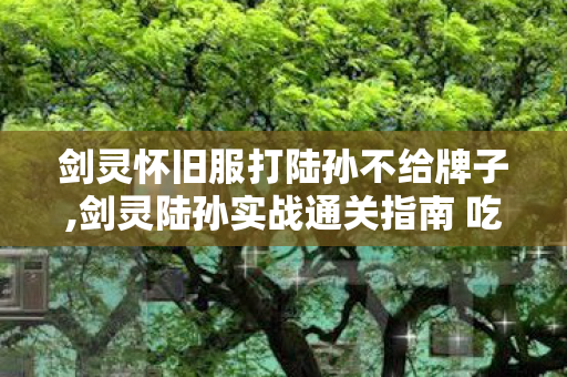 剑灵怀旧服打陆孙不给牌子,剑灵陆孙实战通关指南 吃透机制告别卡关 剑灵怀旧服打陆孙不给牌子,剑灵陆孙实战通关指南 吃透机制告别卡关