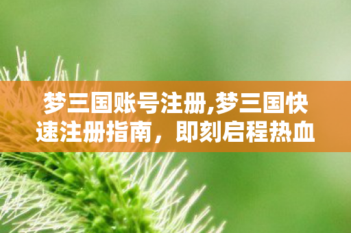 梦三国账号注册,梦三国快速注册指南,即刻启程热血三国竞技世界 梦三国账号注册,梦三国快速注册指南,即刻启程热血三国竞技世界