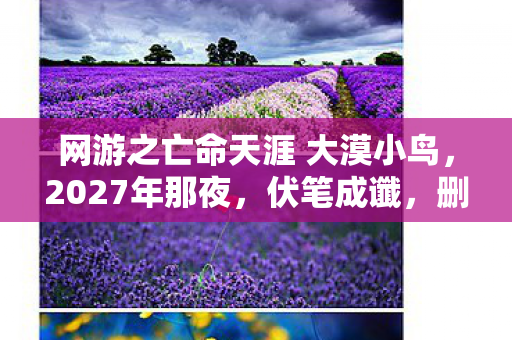 网游之亡命天涯 大漠小鸟,2027年那夜,伏笔成谶,删号前鼻子一酸想起你别走 网游之亡命天涯 大漠小鸟,2027年那夜,伏笔成谶,删号前鼻子一酸想起你别走
