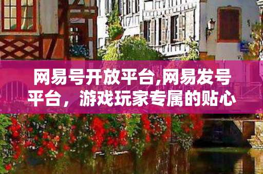 网易号开放平台,网易发号平台,游戏玩家专属的贴心福利服务阵地 网易号开放平台,网易发号平台,游戏玩家专属的贴心福利服务阵地