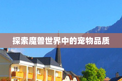 探索魔兽世界中的宠物品质图片