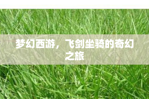 飞剑坐骑的奇幻之旅图片