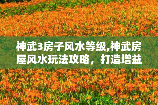 神武3房子风水等级,神武房屋风水玩法攻略,打造增益拉满的专属温馨宅邸 神武3房子风水等级,神武房屋风水玩法攻略,打造增益拉满的专属温馨宅邸
