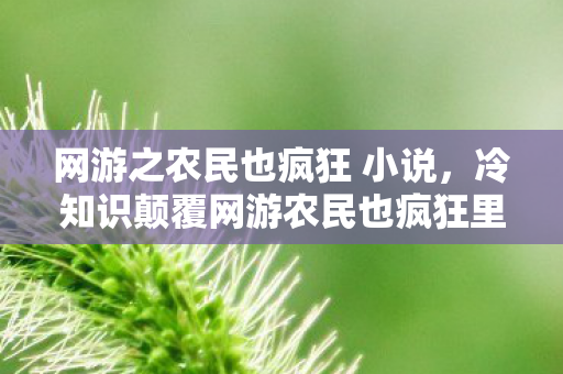 网游之农民也疯狂 小说,冷知识颠覆网游农民也疯狂里,这个设定让你目瞪口呆! 网游之农民也疯狂 小说,冷知识颠覆网游农民也疯狂里,这个设定让你目瞪口呆!