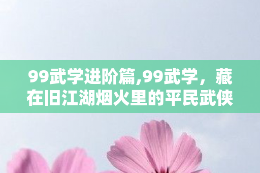 99武学进阶篇,99武学,藏在旧江湖烟火里的平民武侠浪漫 99武学进阶篇,99武学,藏在旧江湖烟火里的平民武侠浪漫