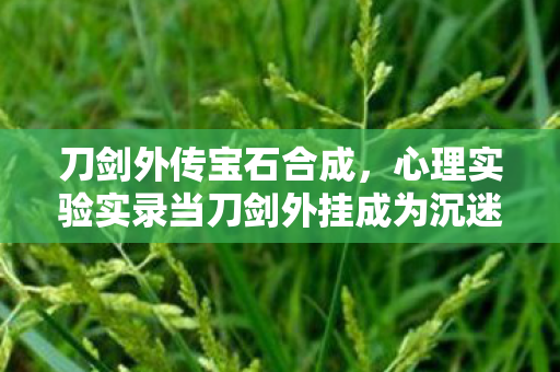 刀剑外传宝石合成,心理实验实录当刀剑外挂成为沉迷开关,多巴胺劫持下的细思极恐循环 刀剑外传宝石合成,心理实验实录当刀剑外挂成为沉迷开关,多巴胺劫持下的细思极恐循环