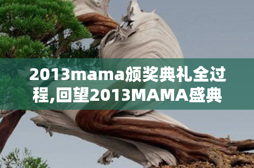 2013mama颁奖典礼全过程,回望2013MAMA盛典,韩流黄金时代的群星璀璨时刻 2013mama颁奖典礼全过程,回望2013MAMA盛典,韩流黄金时代的群星璀璨时刻