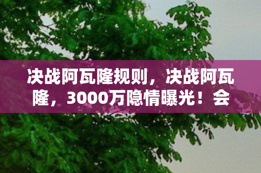 决战阿瓦隆规则，决战阿瓦隆，3000万隐情曝光！会议室拍桌真相让人吓一跳