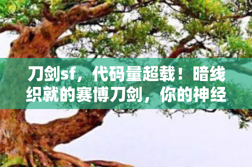 刀剑sf，代码量超载！暗线织就的赛博刀剑，你的神经末梢正在头皮发麻