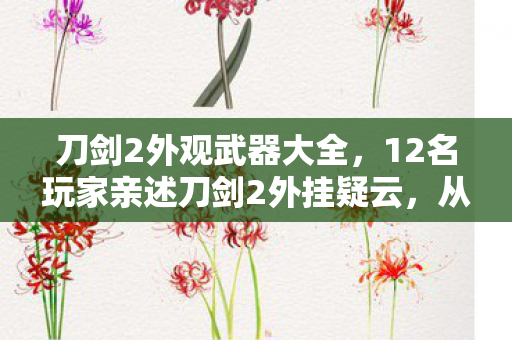 刀剑2外观武器大全，12名玩家亲述刀剑2外挂疑云，从封神到封号，这操作真绷不住了！