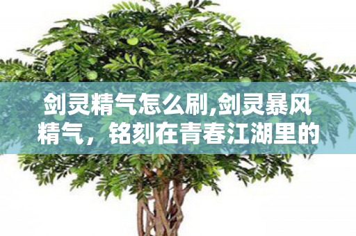 剑灵精气怎么刷,剑灵暴风精气，铭刻在青春江湖里的专属印记