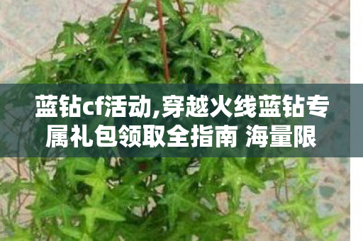 蓝钻cf活动,穿越火线蓝钻专属礼包领取全指南 海量限定福利助力畅快枪战